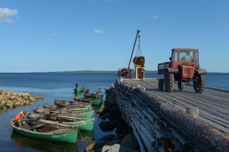 Промышленная добыча водорослей в России возможна буквально с колес. Потенциально это миллиарды долларов