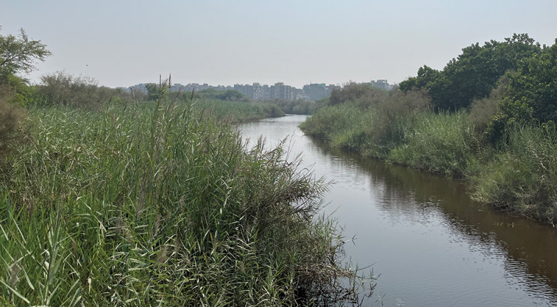 India's Urban Water Crisis and the Struggle to Clean Up Sacred Rivers