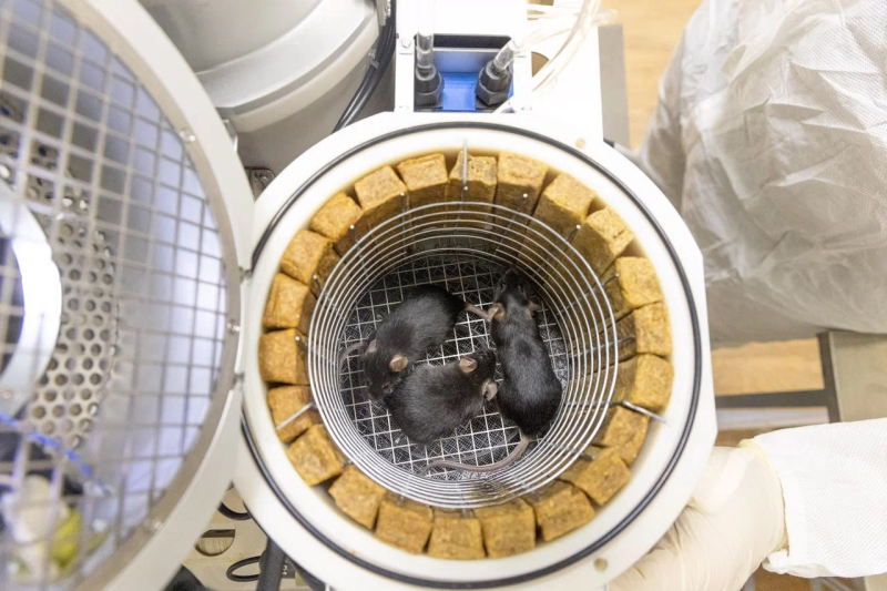 Блог о машиностроении и технике | Спускаемый аппарат био спутника «Бион-М» №2 успешно приземлился в Оренбургской области Спускаемый аппарат био спутника «Бион-М» №2 успешно приземлился в Оренбургской области