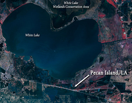 Блог о машиностроении и технике | SpaceX $100B Louisiana Spaceport Takes Aim at Industrial Scale Pecan Island